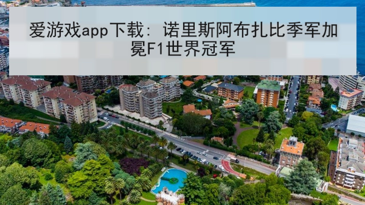 爱游戏app下载: 诺里斯阿布扎比季军加冕F1世界冠军