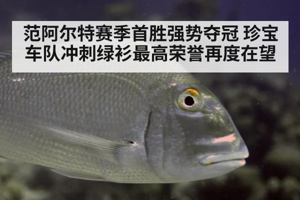 范阿尔特赛季首胜强势夺冠 珍宝车队冲刺绿衫最高荣誉再度在望